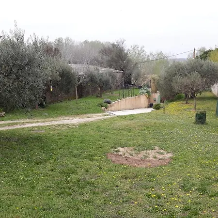 L'olivette