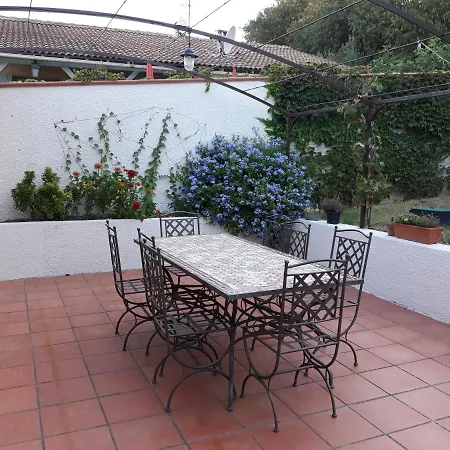 L'olivette * Montfrin