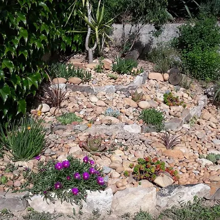 L'olivette * Montfrin